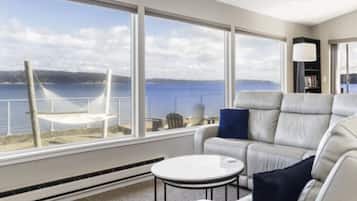 TV connectée, cheminée, jeux vidéo, lecteur de DVD