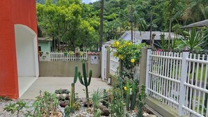 A garden with various cacti and succulents, a white fence, and a building with a red wall.