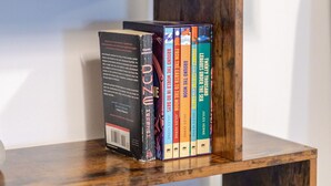 A wooden shelf with books and a small potted plant. - Amazing 4 Bedroom Unit in Downtown (Montréal)