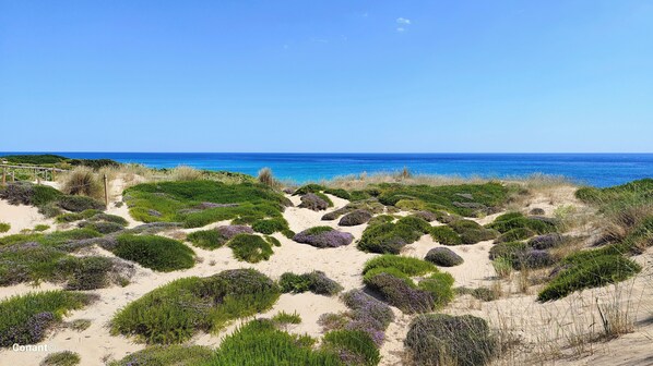 Beach - Villa Libertà - The most beautiful dunes of Salento (Campomarino)