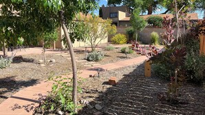Un jardin où l’on trouve une grande variété de plantes et un chemin pavé.