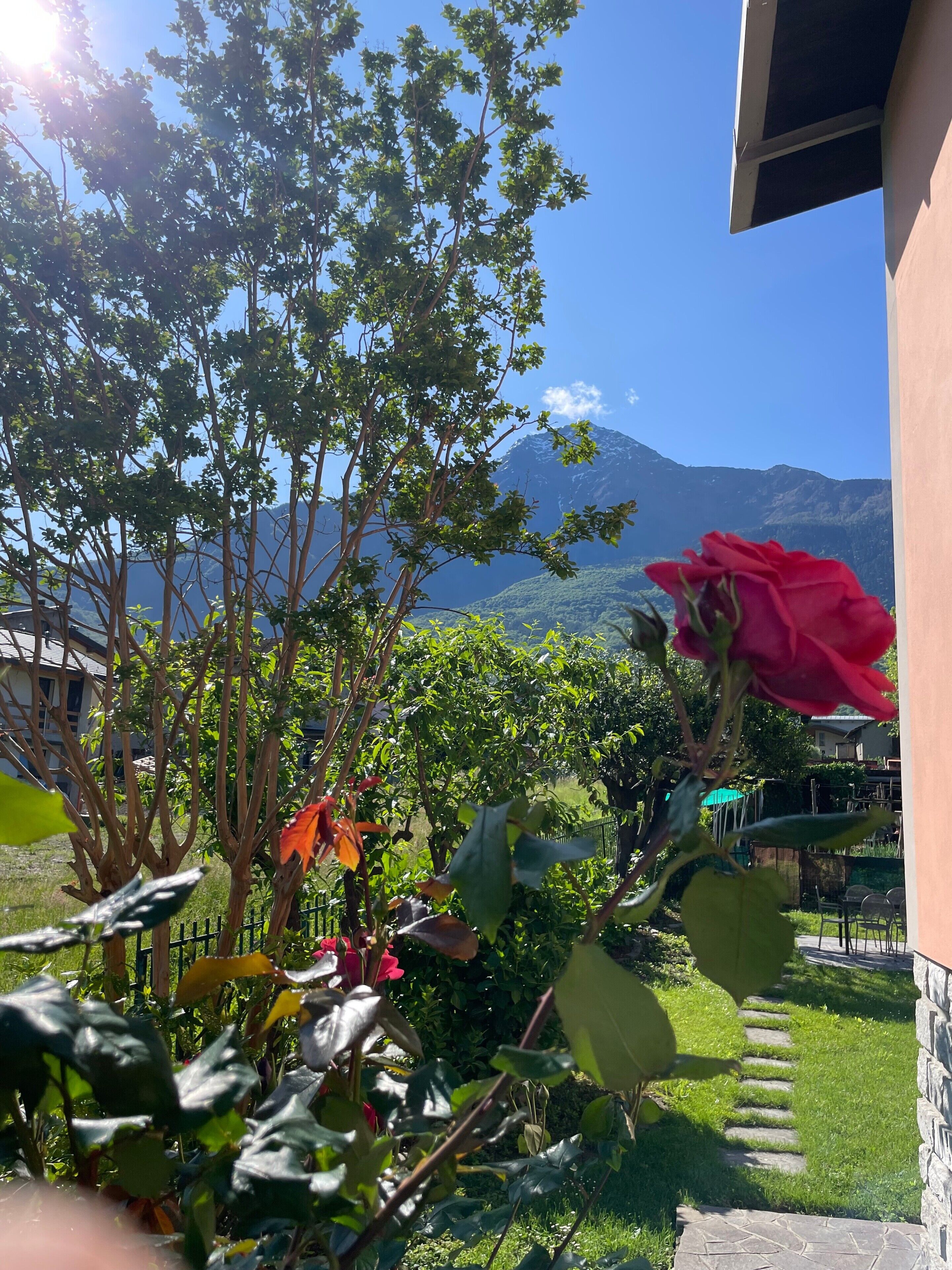 Jardines del alojamiento