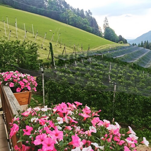 Appartement "Kohlerhof" avec vue sur les montagnes, balcon et Wi-Fi