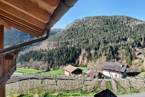Un vignoble avec des rangées de vignes, des bâtiments en bois et une chaîne de montagnes en arrière-plan.