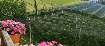 Appartamento 'Kohlerhof' con vista sulle montagne, balcone e Wi-Fi