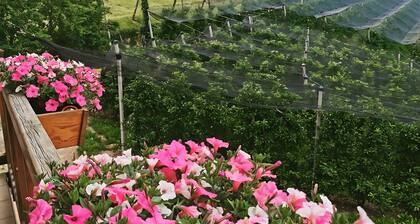 Ferienwohnung 'Kohlerhof' mit Bergblick, Balkon und Wi-Fi