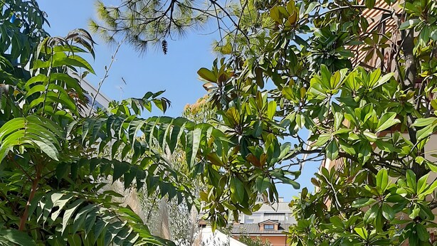 A garden pathway with plants and a flag. - Euroholiday Village 4R Apartment with Shared Terrace, Garden and Wi-Fi (Jesolo)