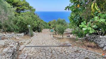 Overnattingsstedets uteområder