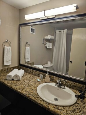 Shower, free toiletries, hair dryer, toilet paper