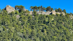 A historic stone castle atop a hill with dense forest.
