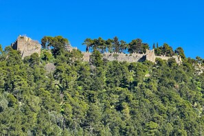 A historic stone castle atop a hill with dense forest.