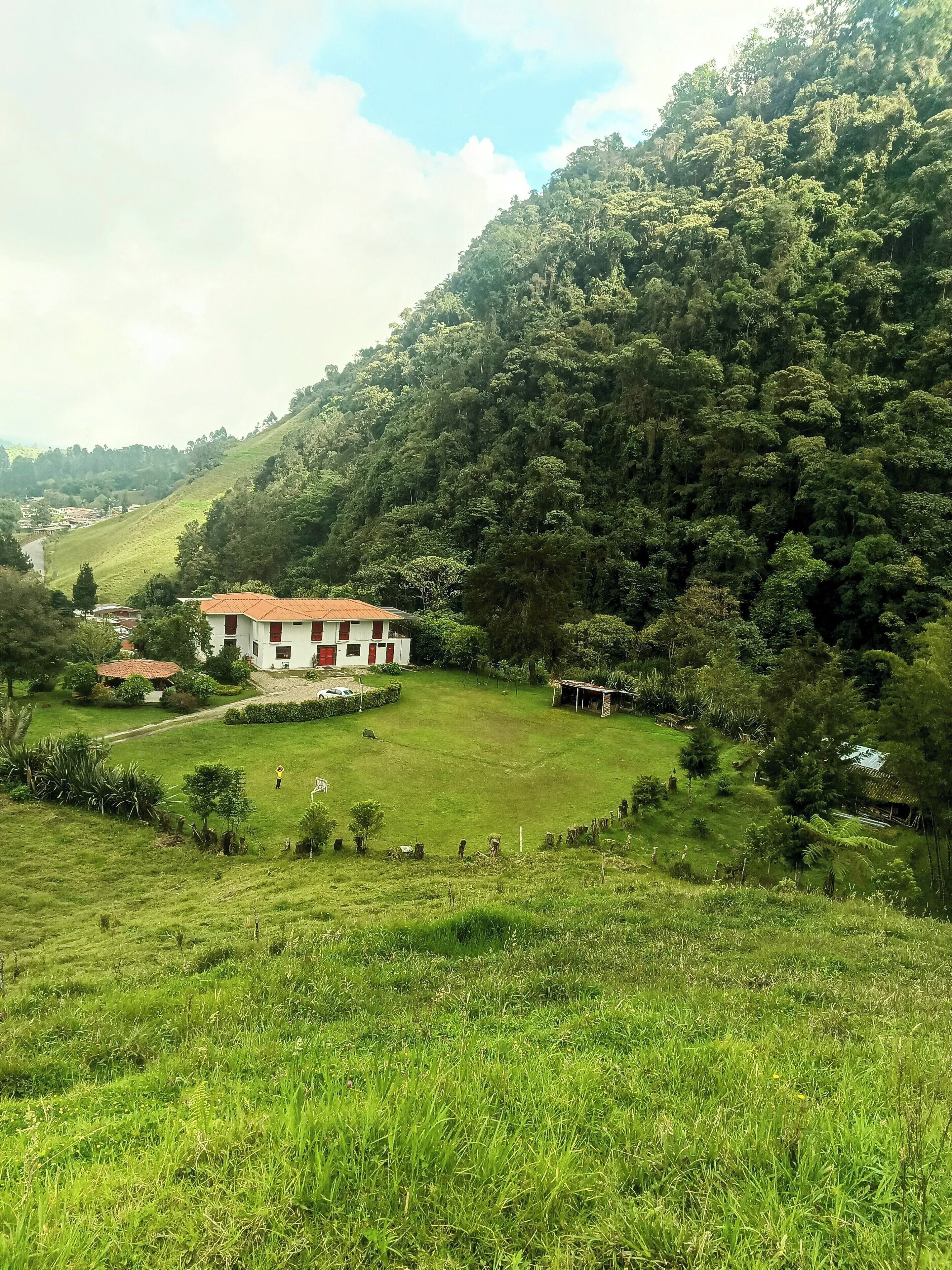 A rural house with a red roof, surrounded by a lush green field and dense forest.