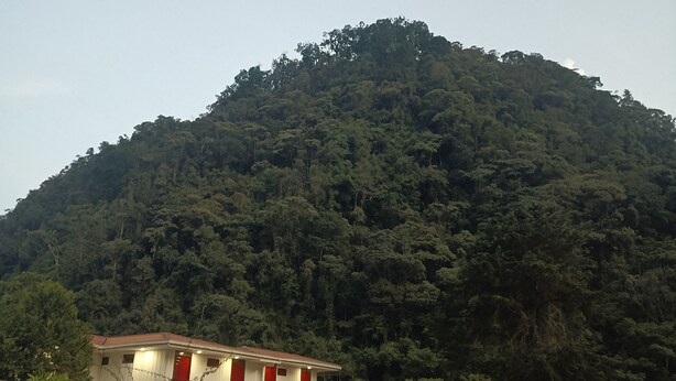 A house with a red door and windows, surrounded by greenery and a hill in the background.