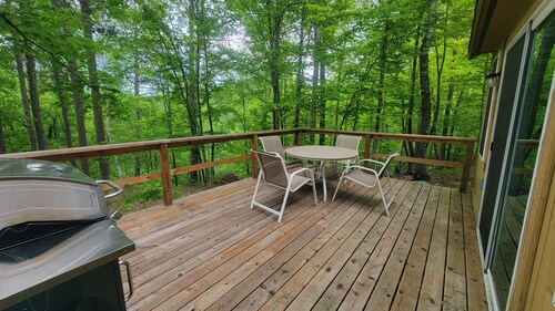 Modern Cozy Woman Lake Woodland Cabin, 24 acres, lakeshore, woodstove, AC, Wi-fi