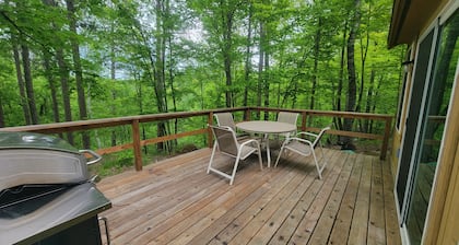 Modern Cozy Woman Lake Woodland Cabin, 24 acres, lakeshore, woodstove, AC, Wi-fi