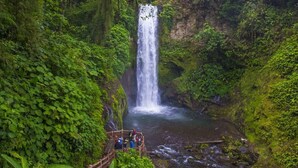 Une cascade entourée d’une végétation luxuriante, avec une plateforme d’observation en bois où se tiennent des personnes.