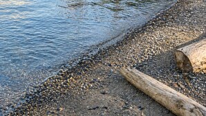 A calm lake with a pebbly shore and a forested hillside.