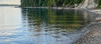 Pet friendly Cabin with Beach access and Firepit