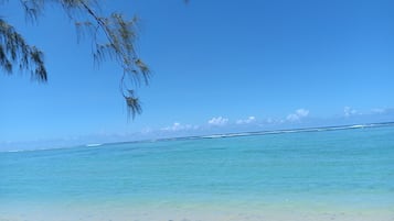 Chaises longues, serviettes de plage