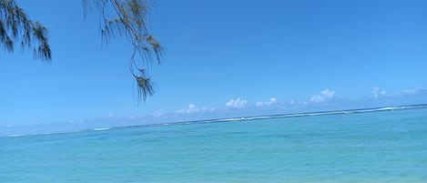 Camastros y toallas de playa