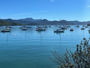 Marina - Views over Waikawa Marina & situated next to native bush (Waikawa)