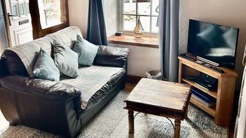 Smart TV, fireplace, DVD player, books