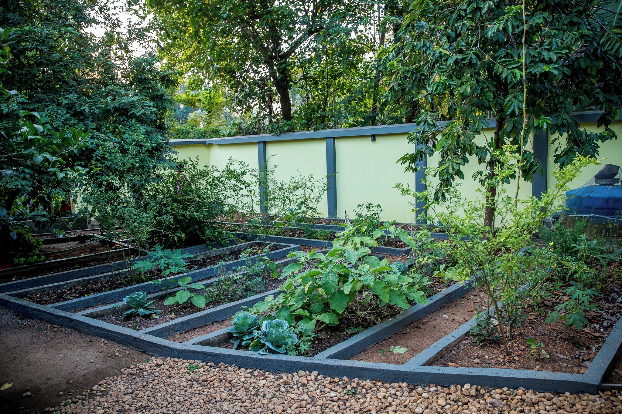 A garden with raised beds, a yellow wall, and trees in the background.