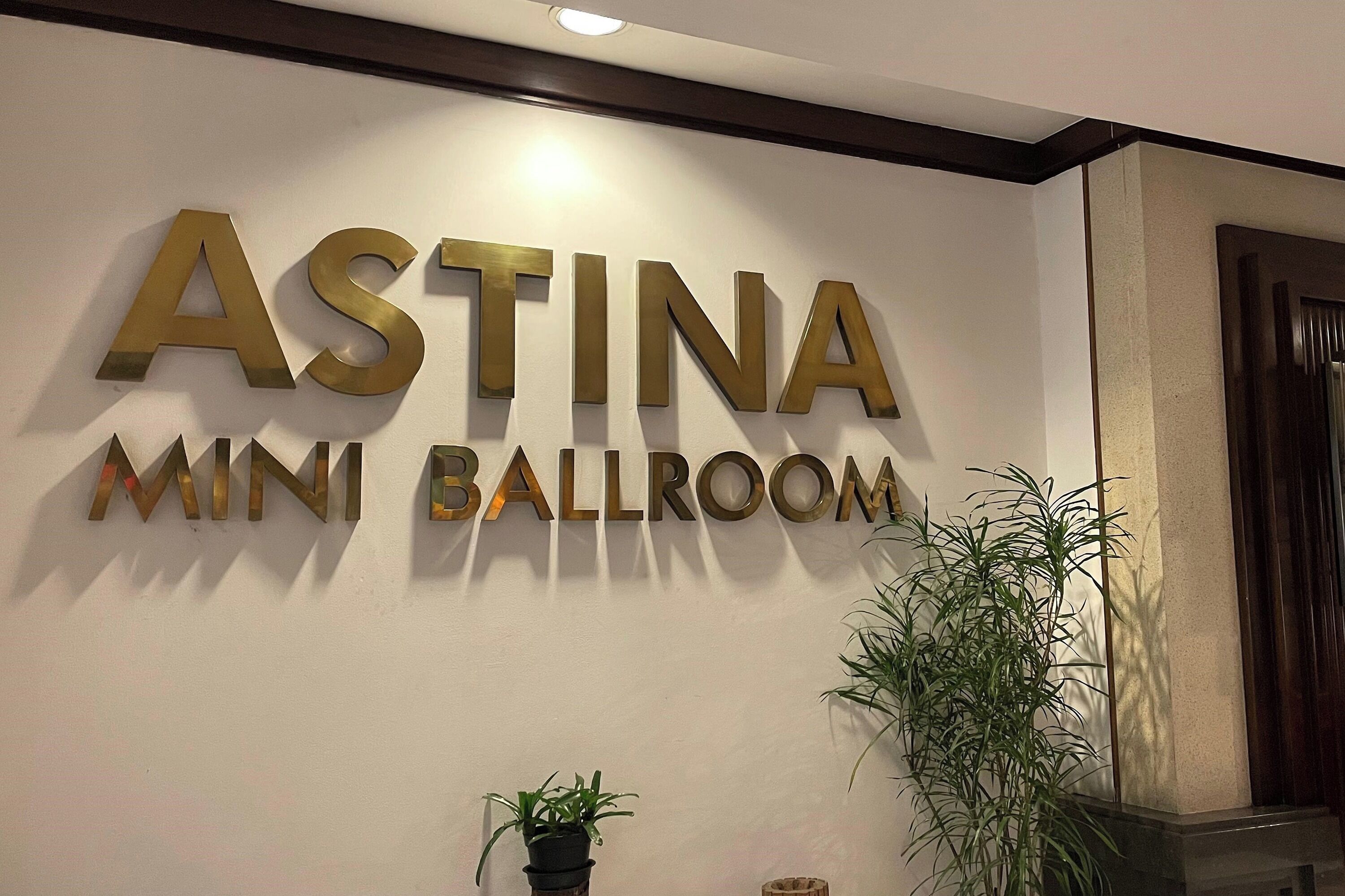 A sign for "ASTINA MINI BALLROOM" with a modern design and two potted plants below it.