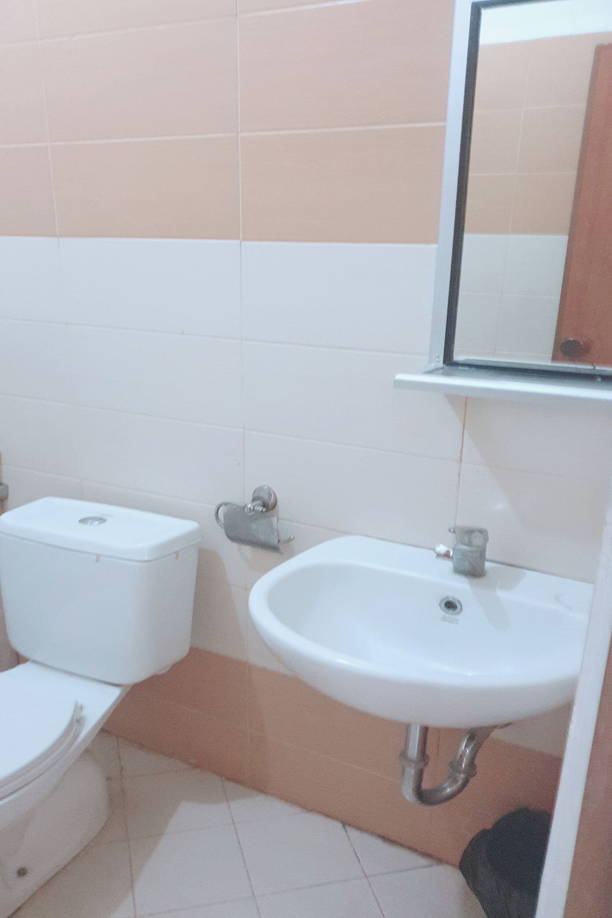 A bathroom with a toilet, sink, and mirror.