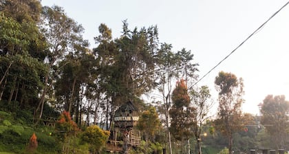 Mountain View Guesthouse Cameron Highlands