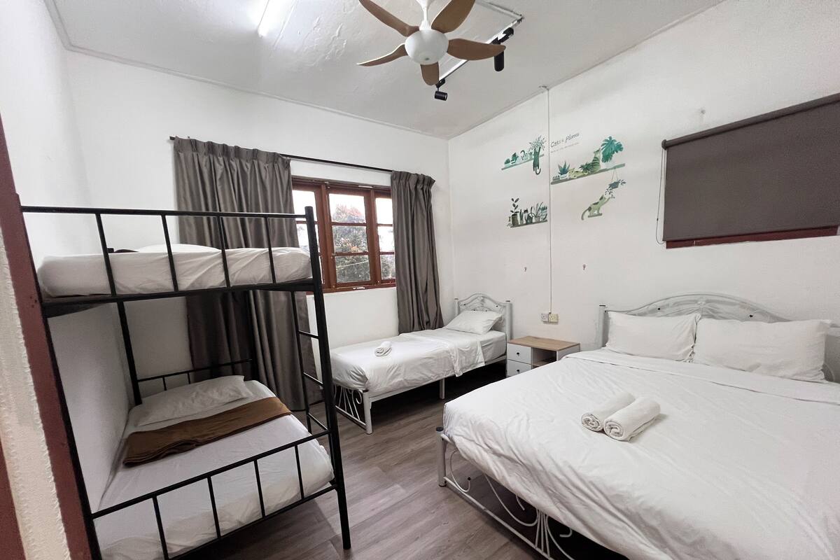 A dormitory room with bunk beds, a single bed, a ceiling fan, a window with curtains, and a wall decoration.