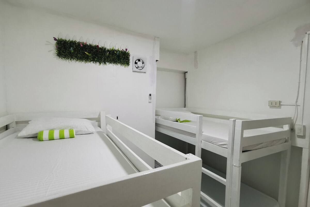 Un dormitorio con literas, un ventilador pequeño fijado a la pared y una planta artificial verde.
