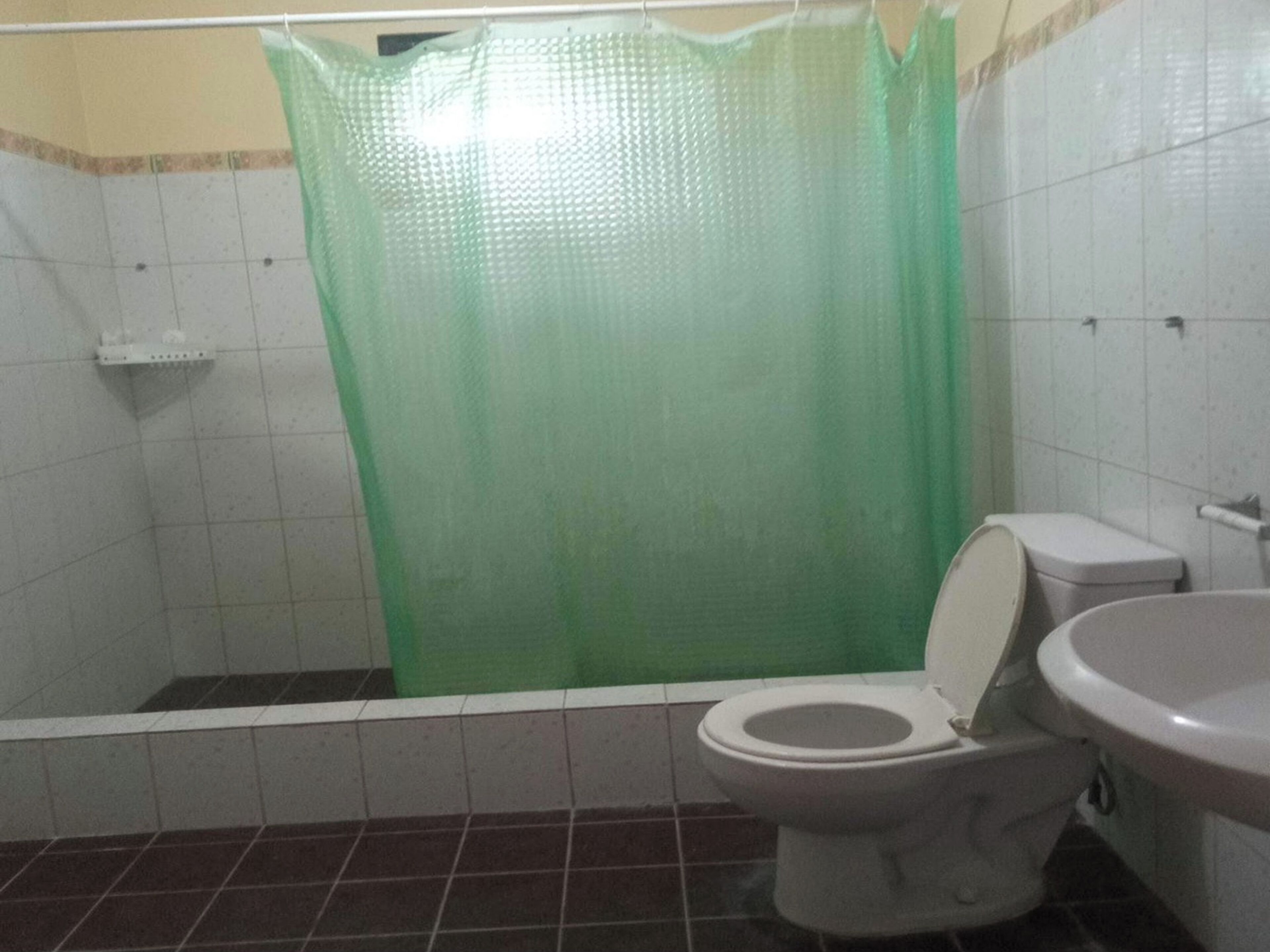 Une salle de bain avec des toilettes, un lavabo et un rideau de douche.