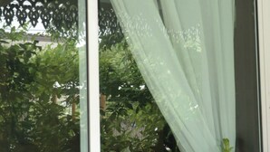 Una finestra con tende leggere, vista su vegetazione all'esterno e riflesso di un edificio.