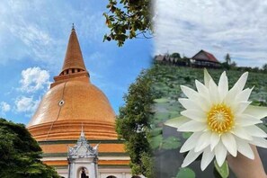 Miscellaneous - Blue 26 (Sam Phran)