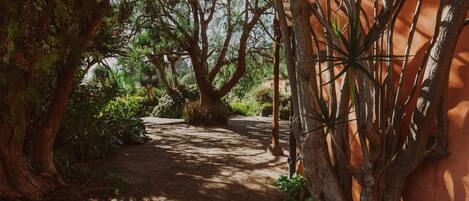 Jardines del alojamiento