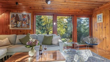 TV, fireplace, books