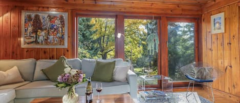 TV, fireplace, books