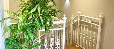 Détail de l’intérieur