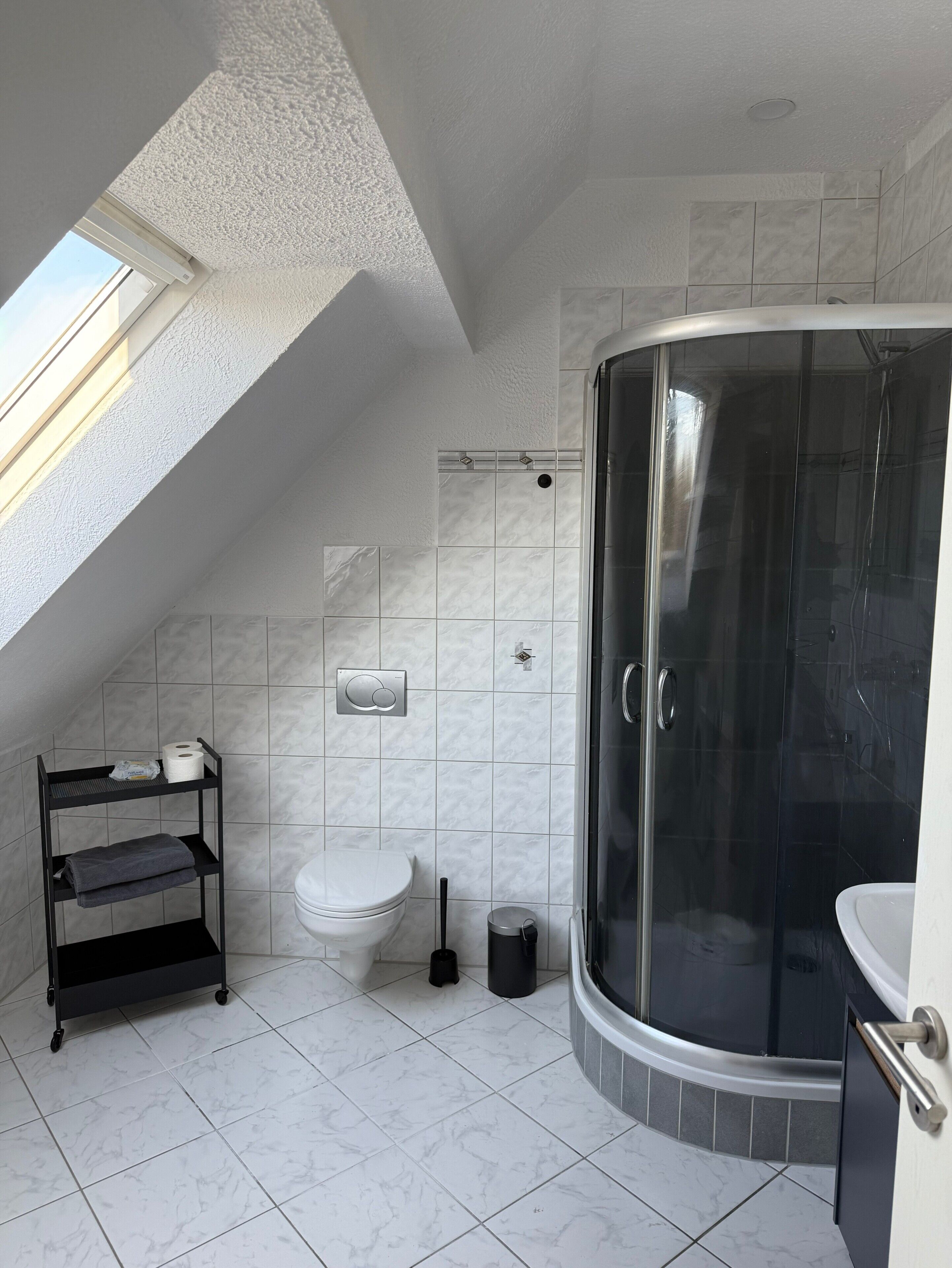 Un baño con ducha, inodoro y estante con artículos de aseo.