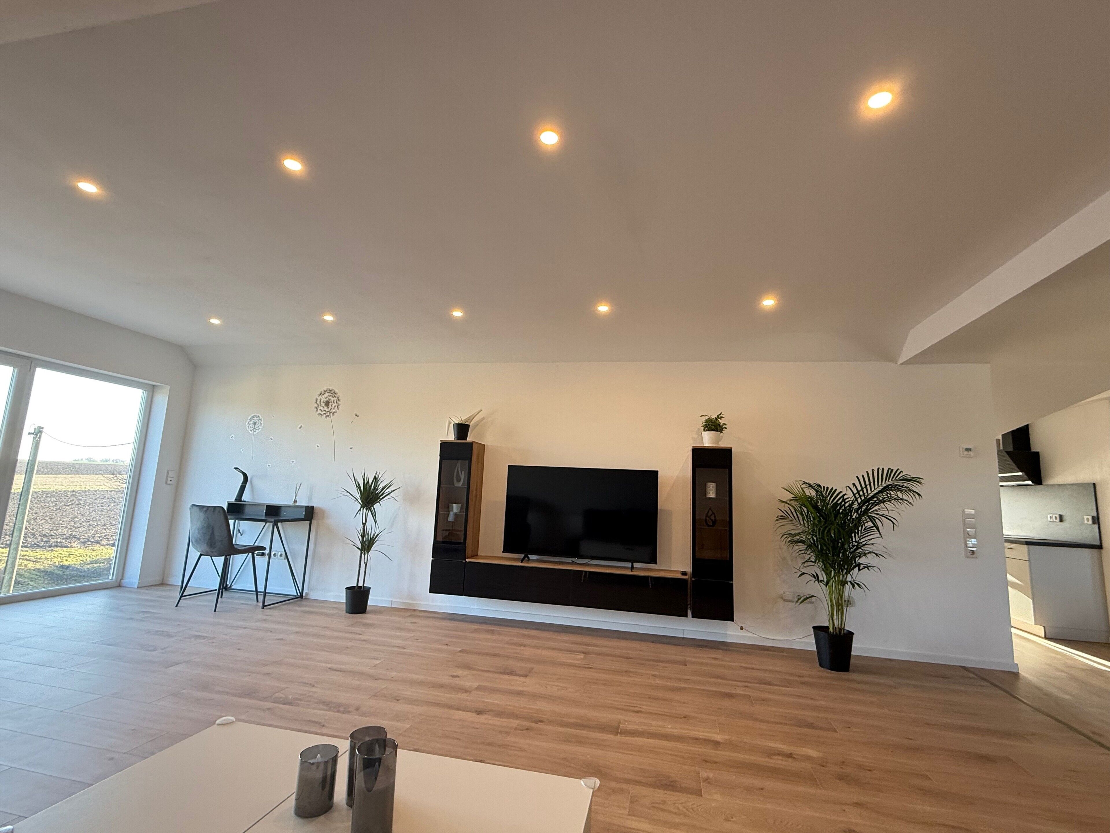 A spacious living room with a flat-screen TV, wooden flooring, and potted plants.