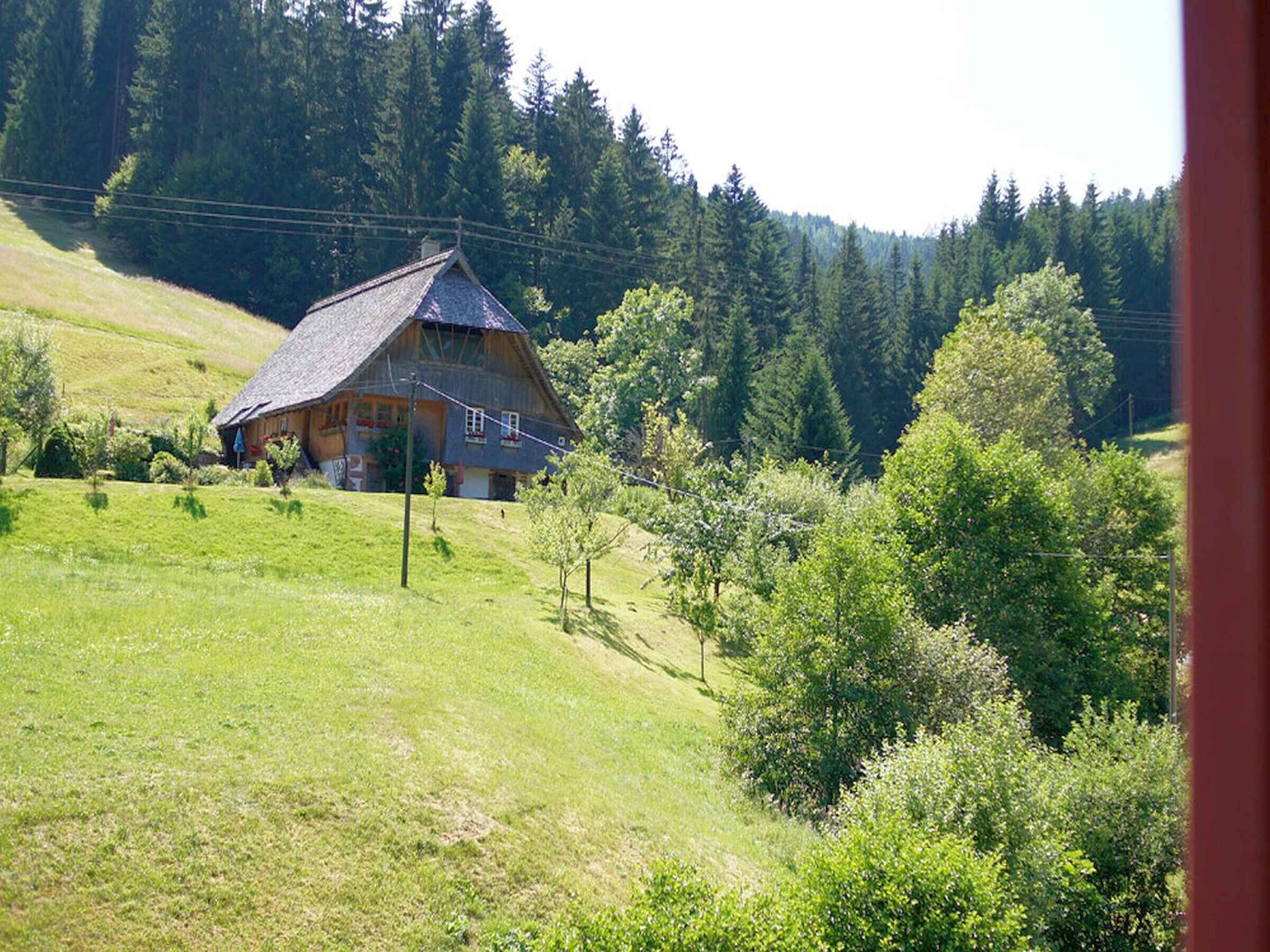 Une maison de campagne avec un toit en pente, entourée d’un champ herbeux et d’une forêt dense.