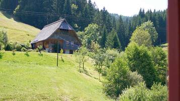 Une maison de campagne avec un toit en pente, entourée d’un champ herbeux et d’une forêt dense.