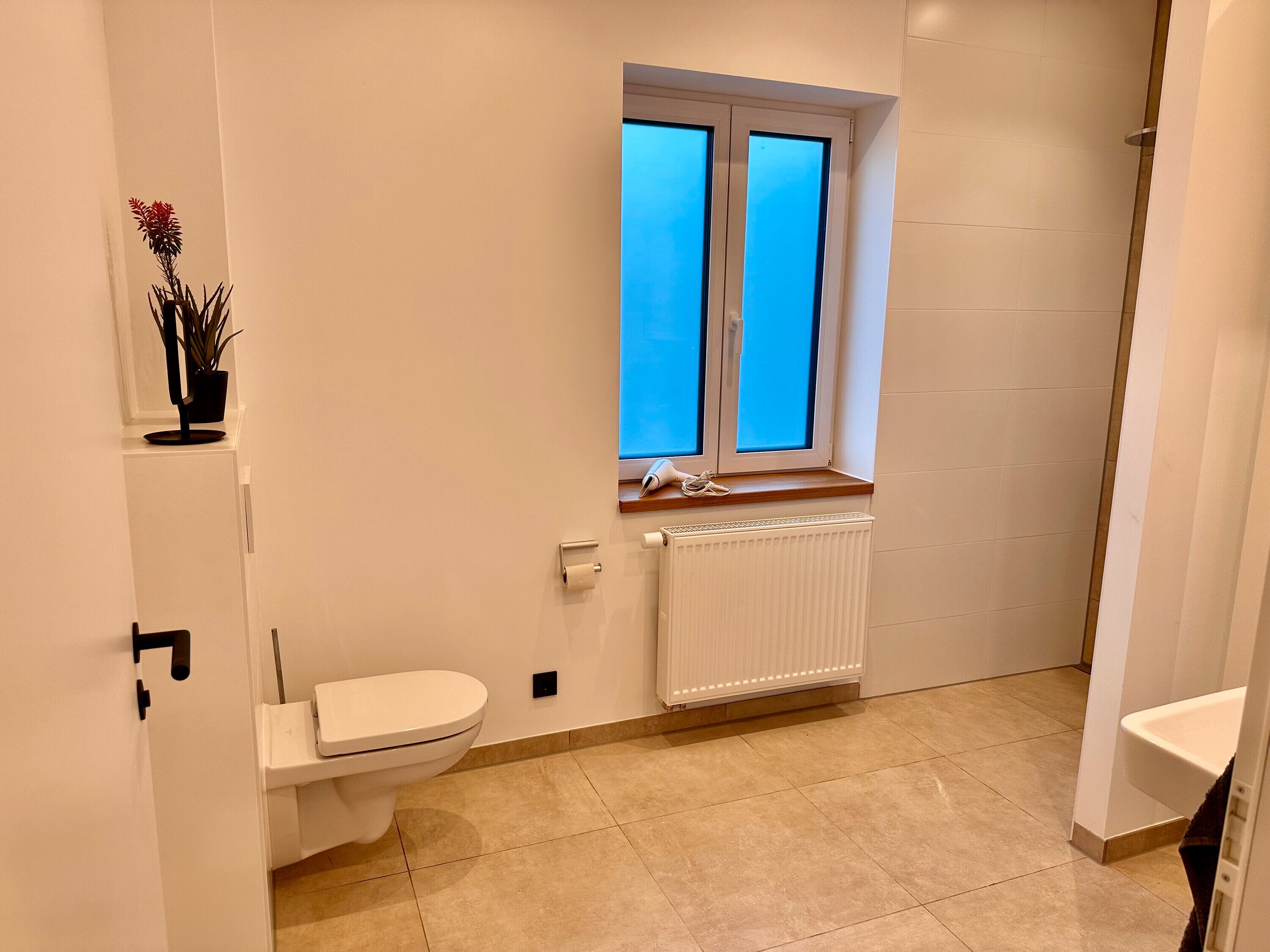 Dusche, Haartrockner, Handtücher