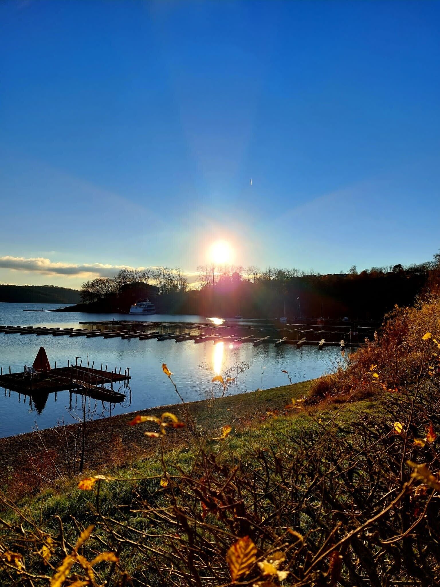 A calm lake with a dock, surrounded by trees and vegetation.