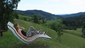 Une personne se détend sur un banc en bois incurvé, avec une vue panoramique sur des collines ondoyantes et un petit arbre au premier plan.