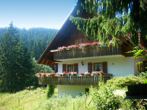 Apartment 'Waldhuesli Feldberg Gartengeschoss' with Private Terrace, Private Garden and Wi-Fi