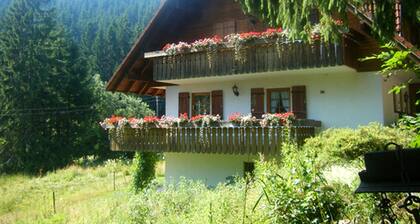 Apartment 'Waldhuesli Feldberg Gartengeschoss' with Private Terrace, Private Garden and Wi-Fi