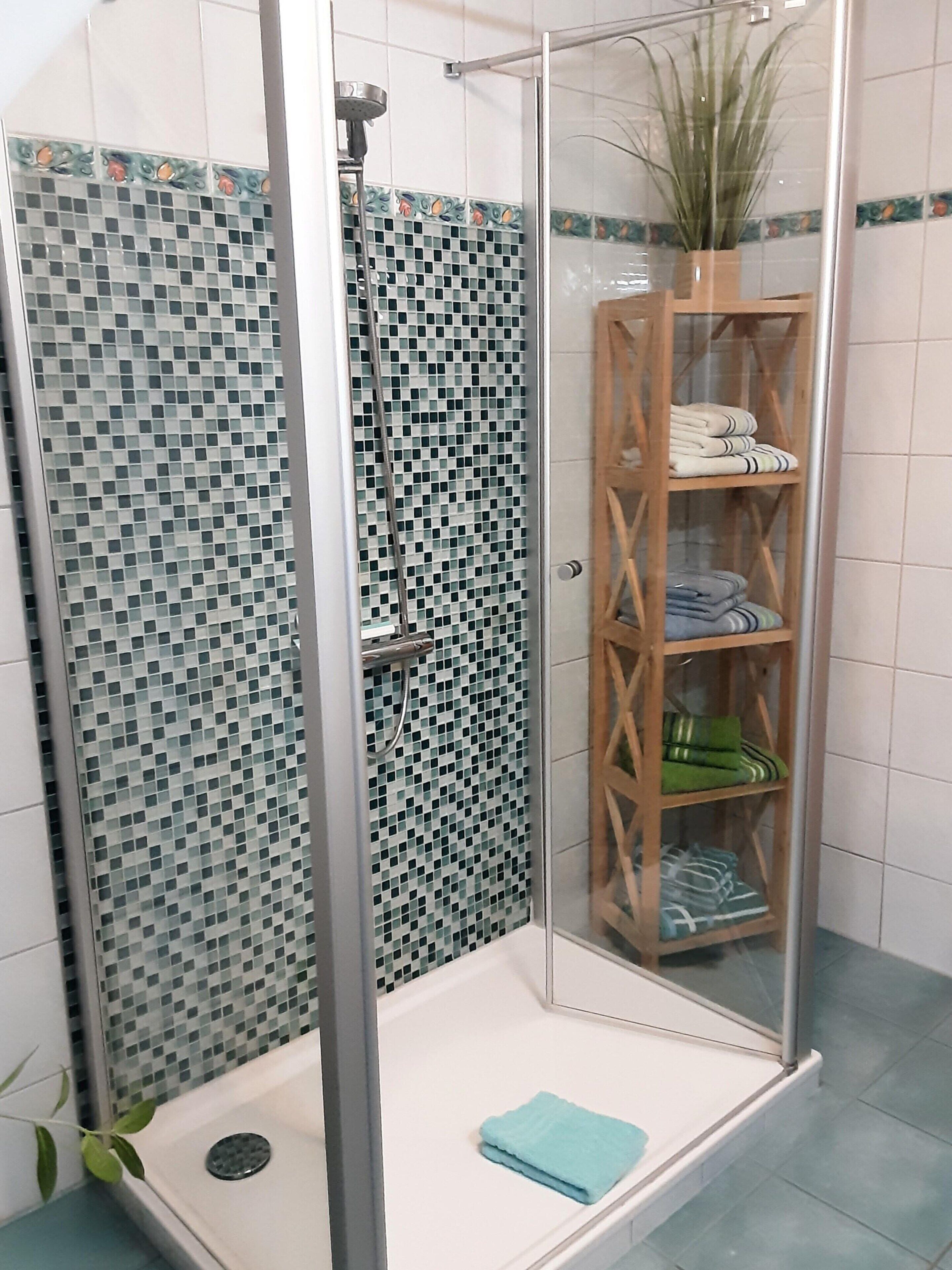 Une douche fermée par des parois de verre, avec un mur décoré d’une mosaïque de carreaux, une étagère en bois où sont pliées des serviettes et une plante en pot.