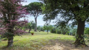 A garden with trees and a dirt path. - Luxury Retreat in Montevettolini (Montevettolini)